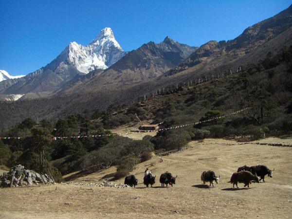 Sagarmatha-National-Park-Nepal