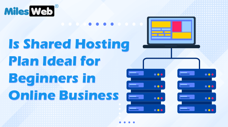 Is Shared Hosting Plan Ideal for Beginners in Online Business